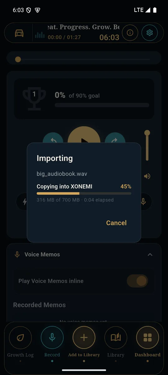An import in progress, showing 45 percent, 316 MB of 700 MB, elapsed time, and a Cancel button.